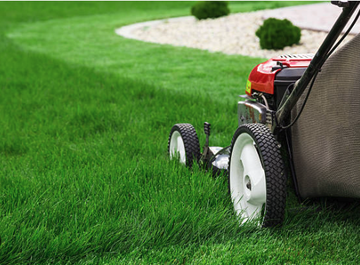 Professional lawn mowing service